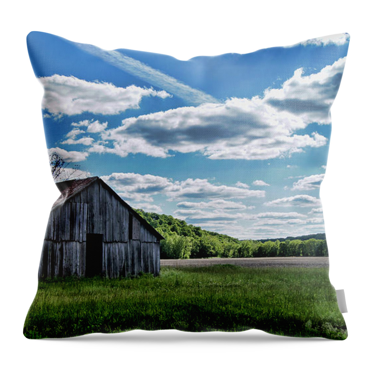 Barn Throw Pillow featuring the photograph Barn on Cedar Creek Bottoms by Cricket Hackmann