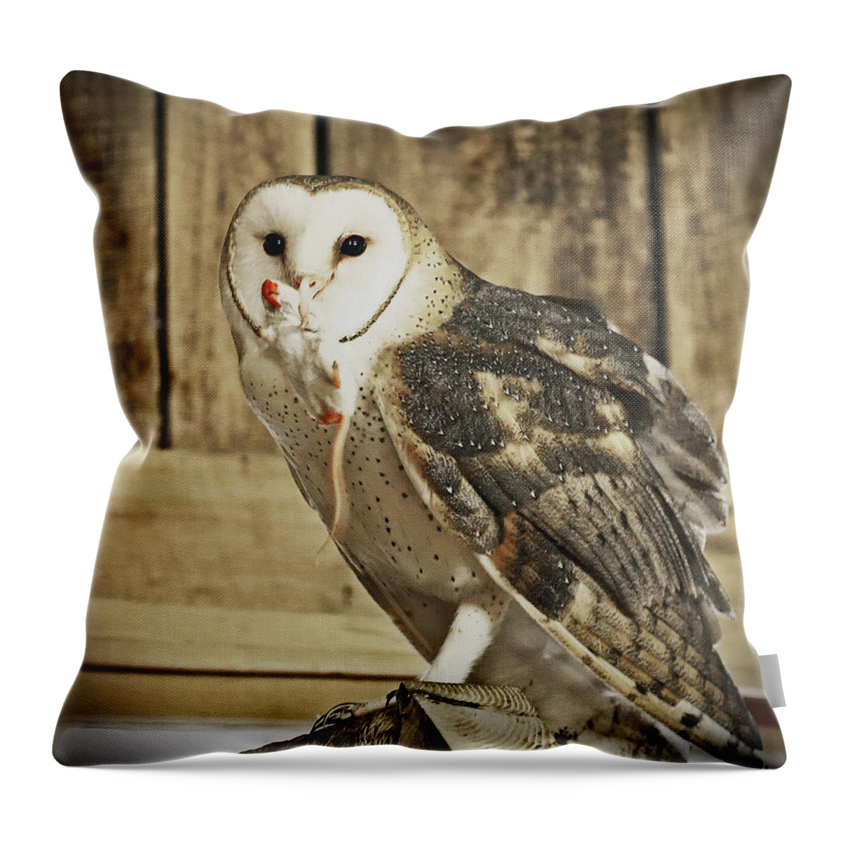 Nature Throw Pillow featuring the photograph Barn Owl Dinner by Gina Fitzhugh