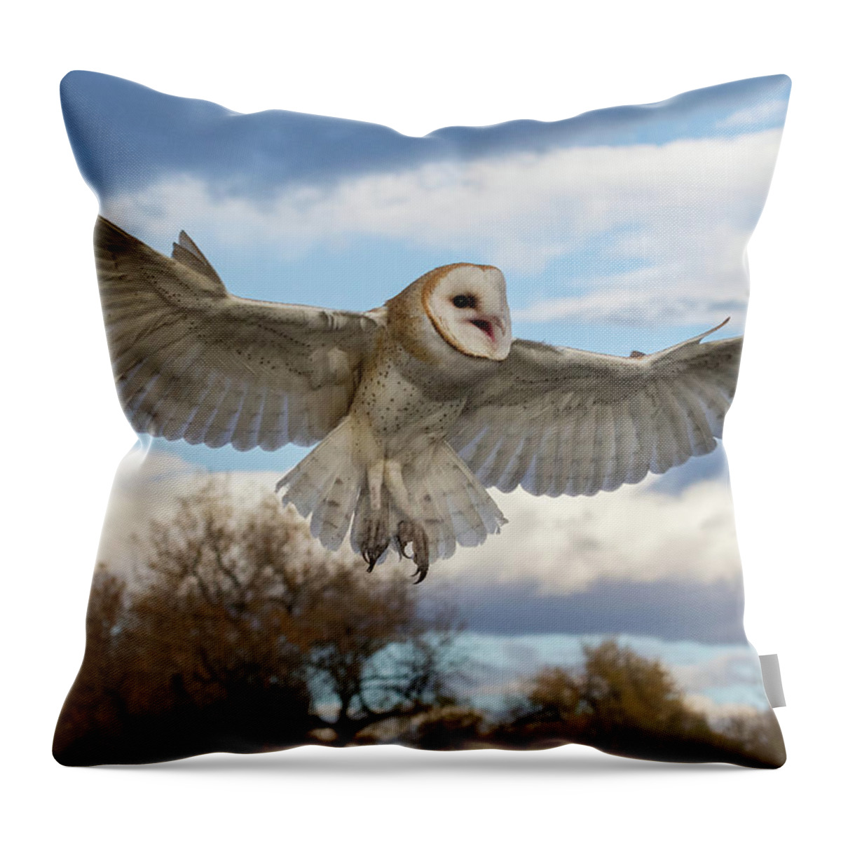 Barn Owl Throw Pillow featuring the photograph Barn Owl Makes a Happy Landing by Tony Hake