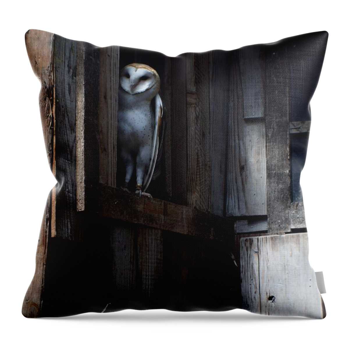 Owls Throw Pillow featuring the photograph Barn Owl......i See You. by Jimmy Chuck Smith