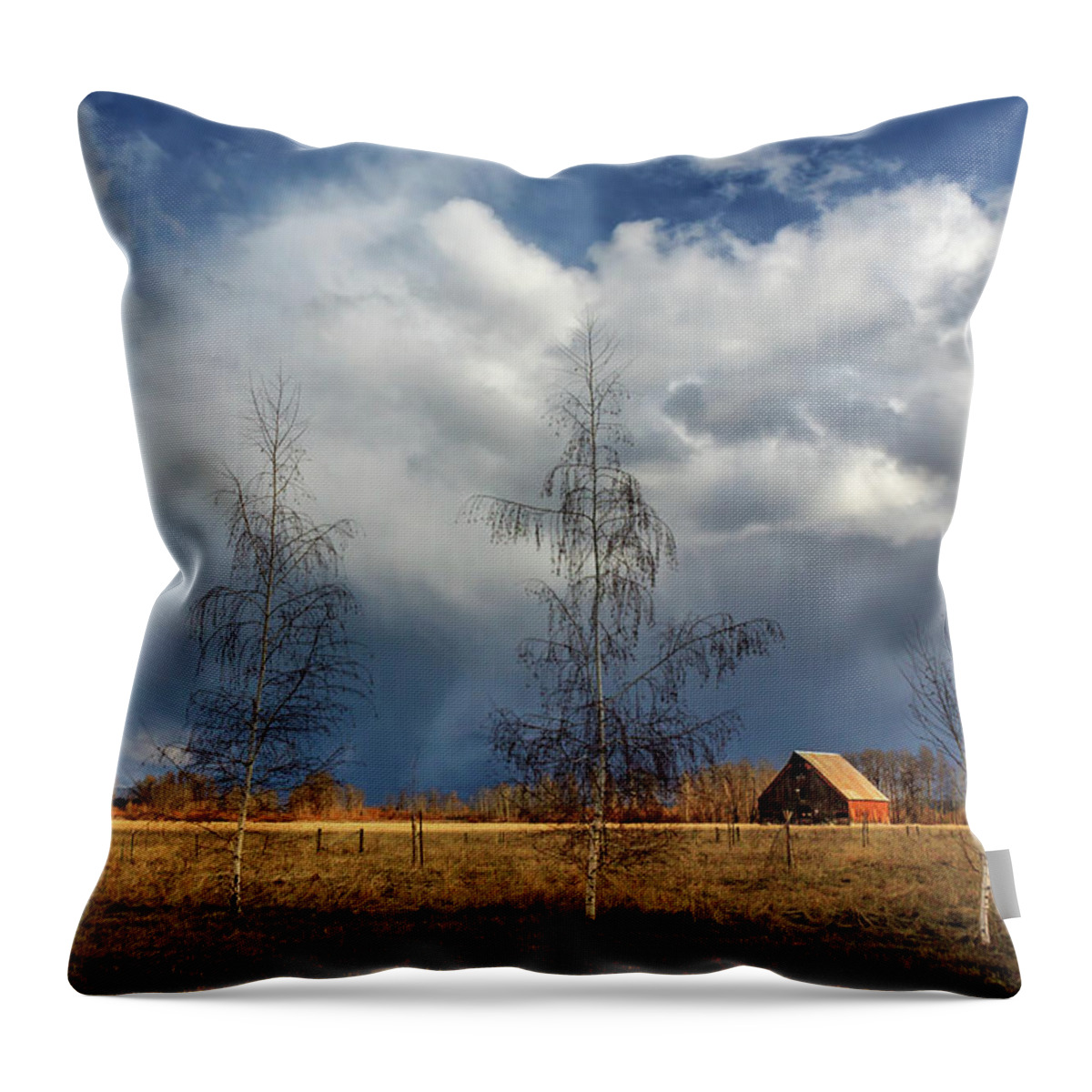 Barn Throw Pillow featuring the photograph Barn Storm by James Eddy