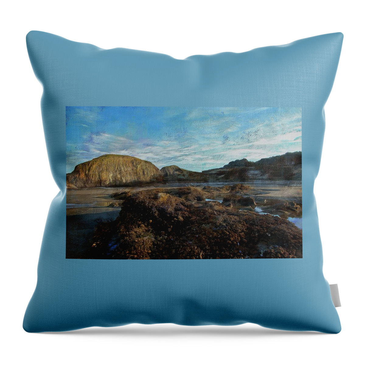 Barnacles Throw Pillow featuring the photograph Barnacles On The Beach by Thom Zehrfeld