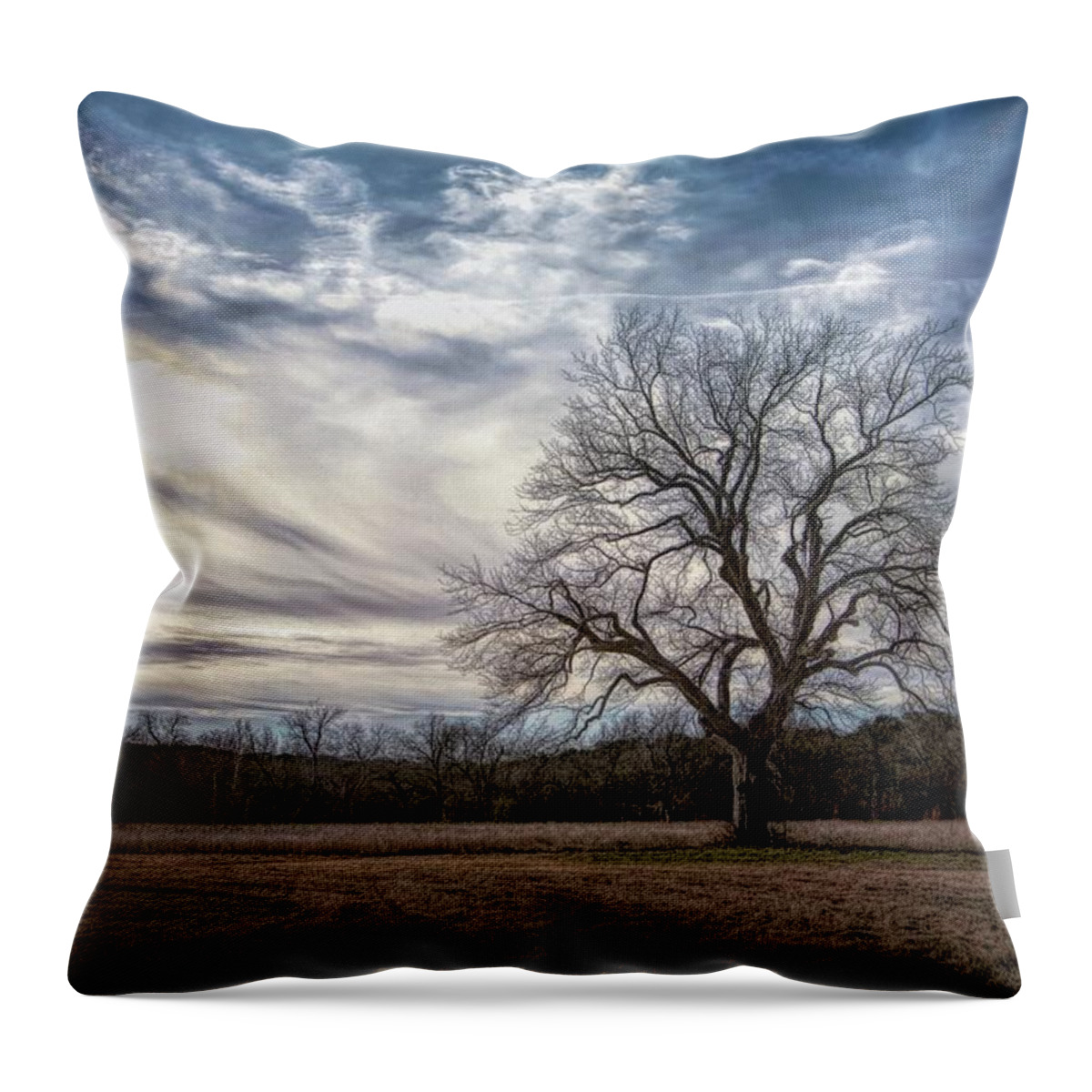 Tree Throw Pillow featuring the photograph Baron Tree of Winter by G Lamar Yancy