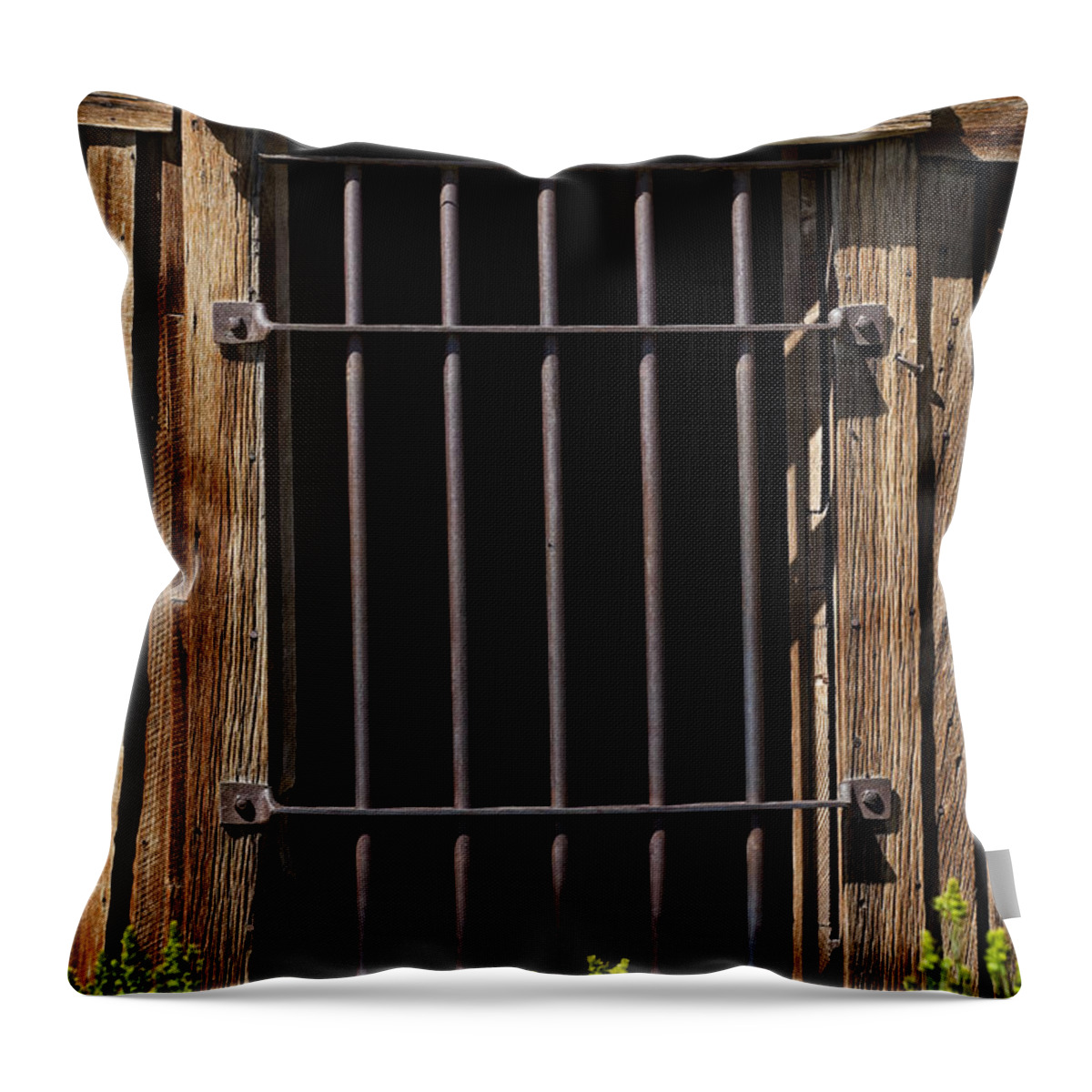 Jail Throw Pillow featuring the photograph Barred by Kelley King