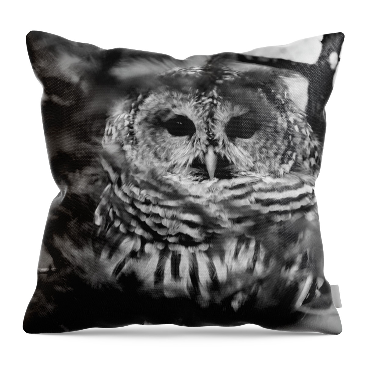 Barred Owl In Thought Throw Pillow featuring the photograph Barred Owl in Black and White by Tracy Winter