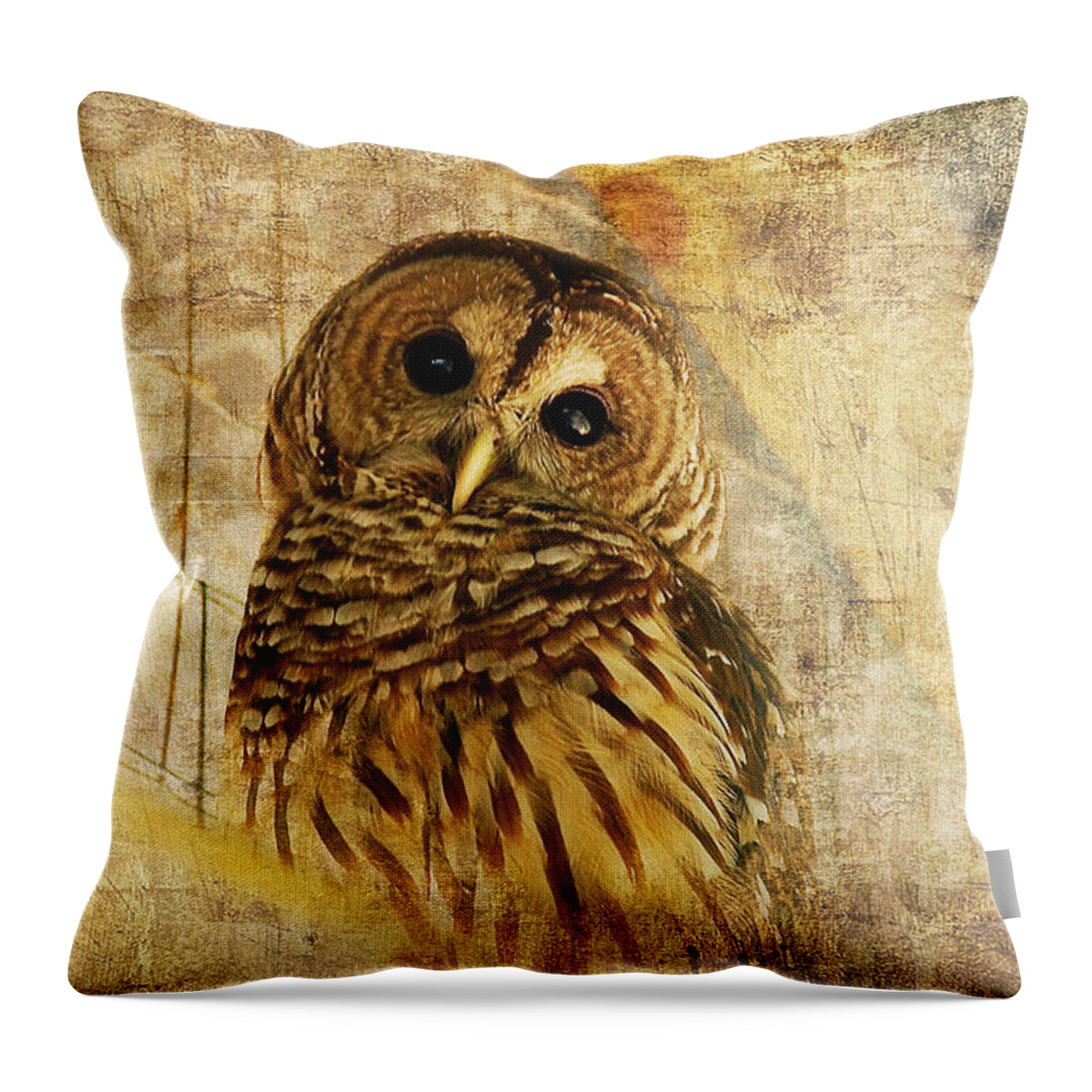 Owl Throw Pillow featuring the photograph Barred Owl by Lois Bryan