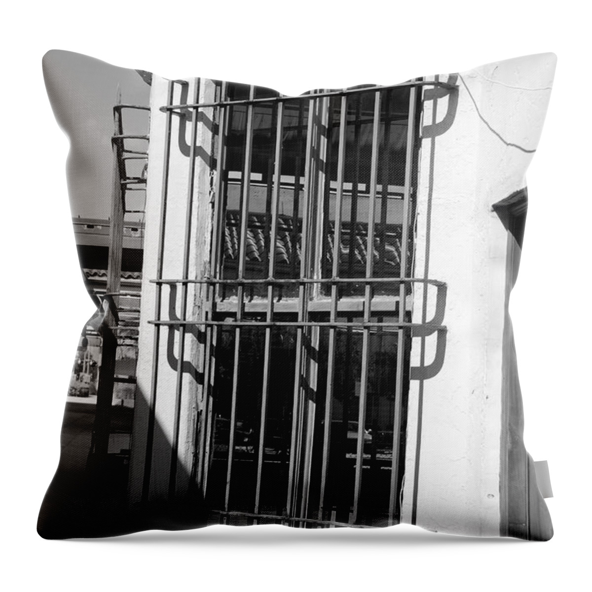 Train Station Throw Pillow featuring the photograph Bars by Rob Hans