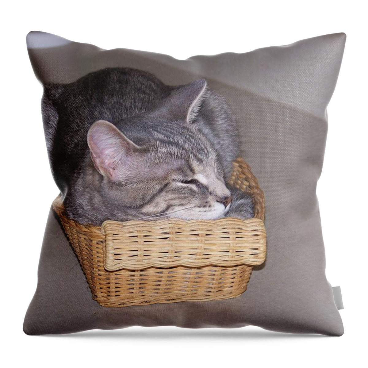 Cat Throw Pillow featuring the photograph Basket Time by Jackie Mueller-Jones