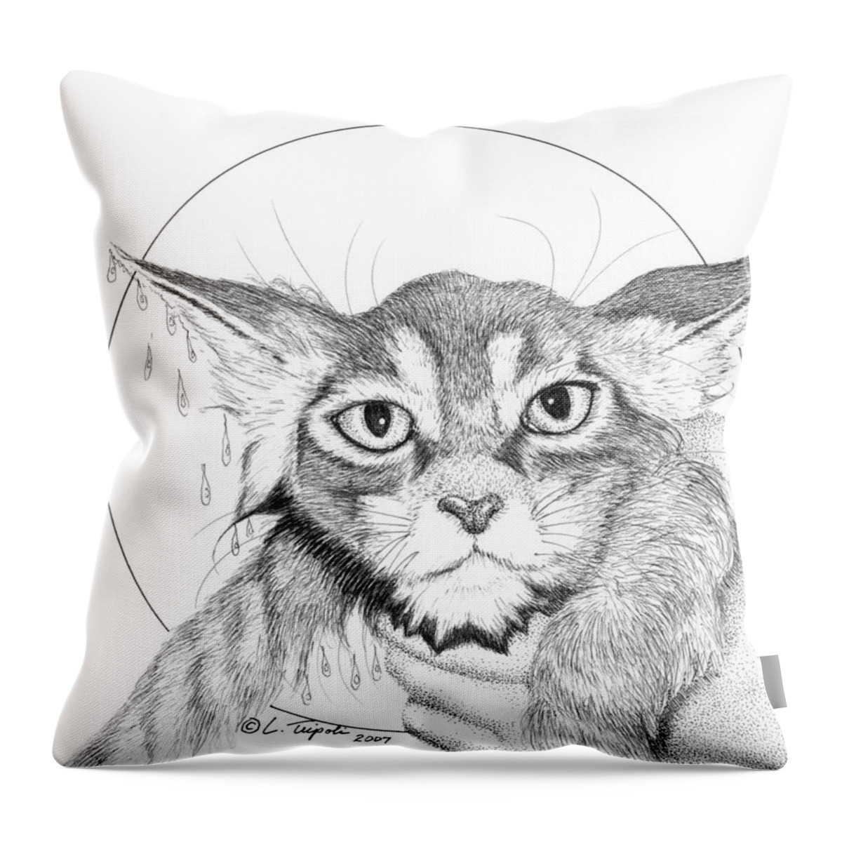 Cat Throw Pillow featuring the drawing Bath Time by Lawrence Tripoli