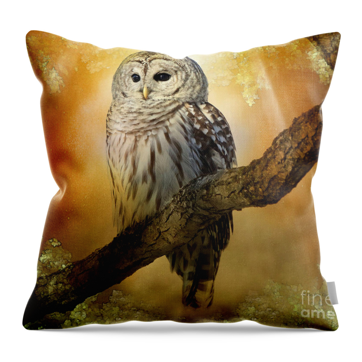 Owls Throw Pillow featuring the photograph Bathed in light by Heather King