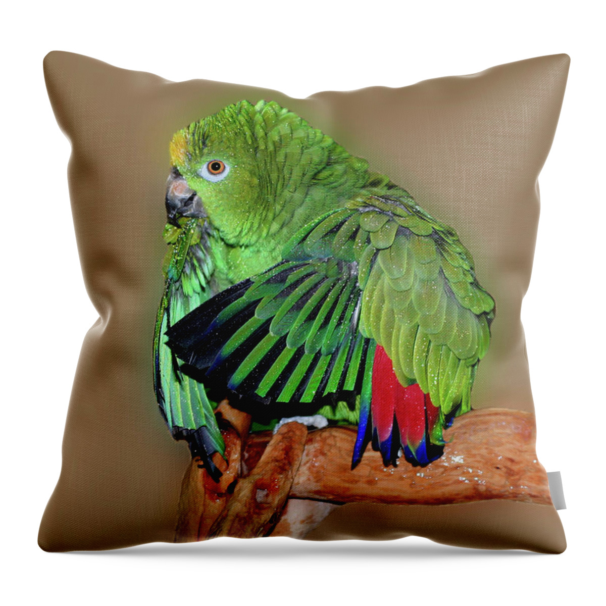 Parrot Throw Pillow featuring the photograph Bathing Beauty Amazon Parrot by Smilin Eyes Treasures