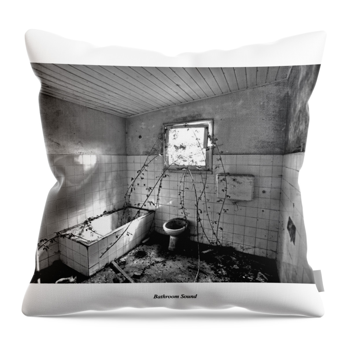 Over Throw Pillow featuring the photograph Bathroom Sound by Joseph Amaral