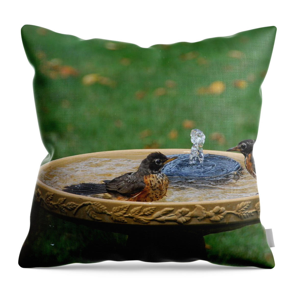 Bird Throw Pillow featuring the photograph Bathtime in the Front Yard by Wanda Jesfield