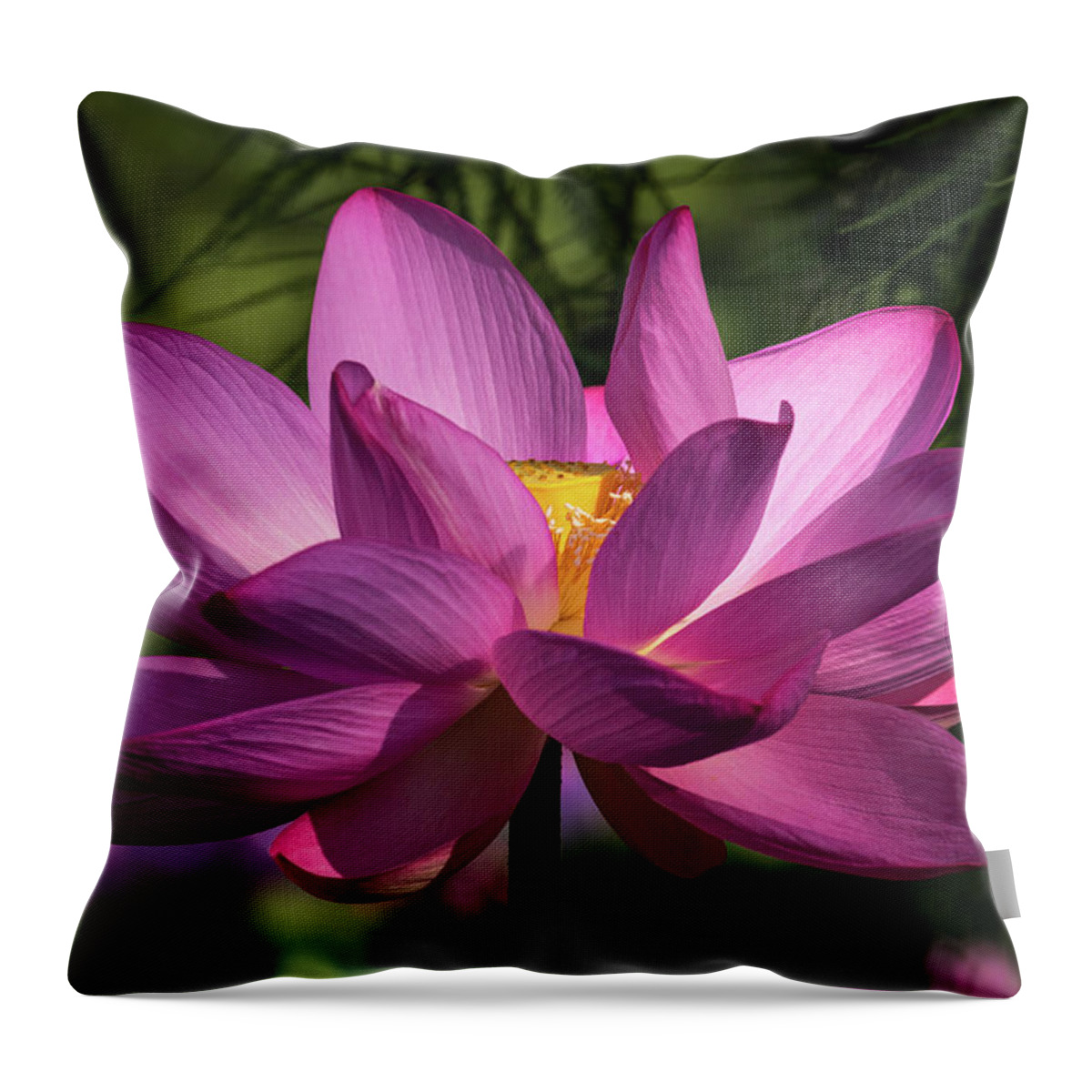 Photograph Throw Pillow featuring the photograph Be Like the Lotus by Cindy Lark Hartman