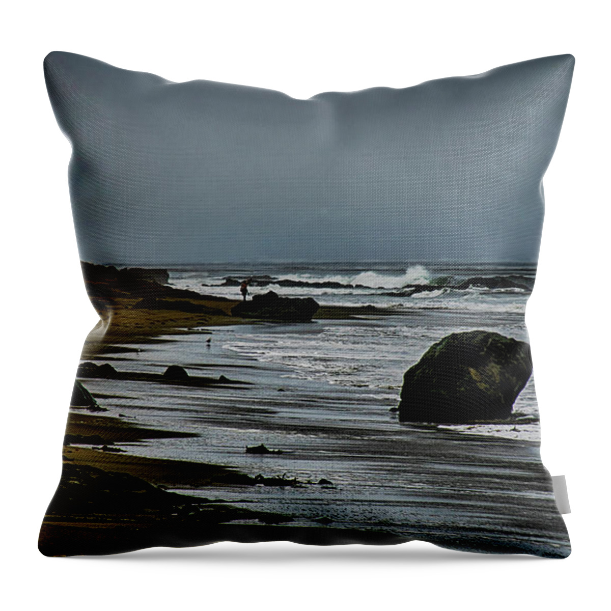 Beach Throw Pillow featuring the photograph Beach Boulder by Joseph Hollingsworth
