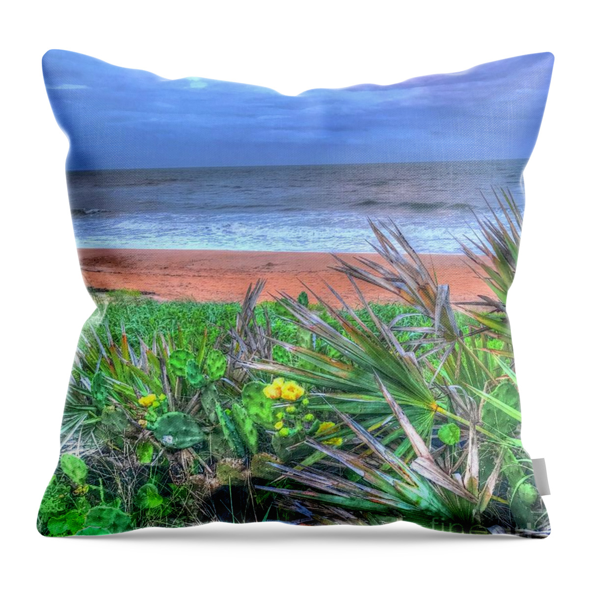 Cactus Throw Pillow featuring the photograph Beach Cactus by Debbi Granruth