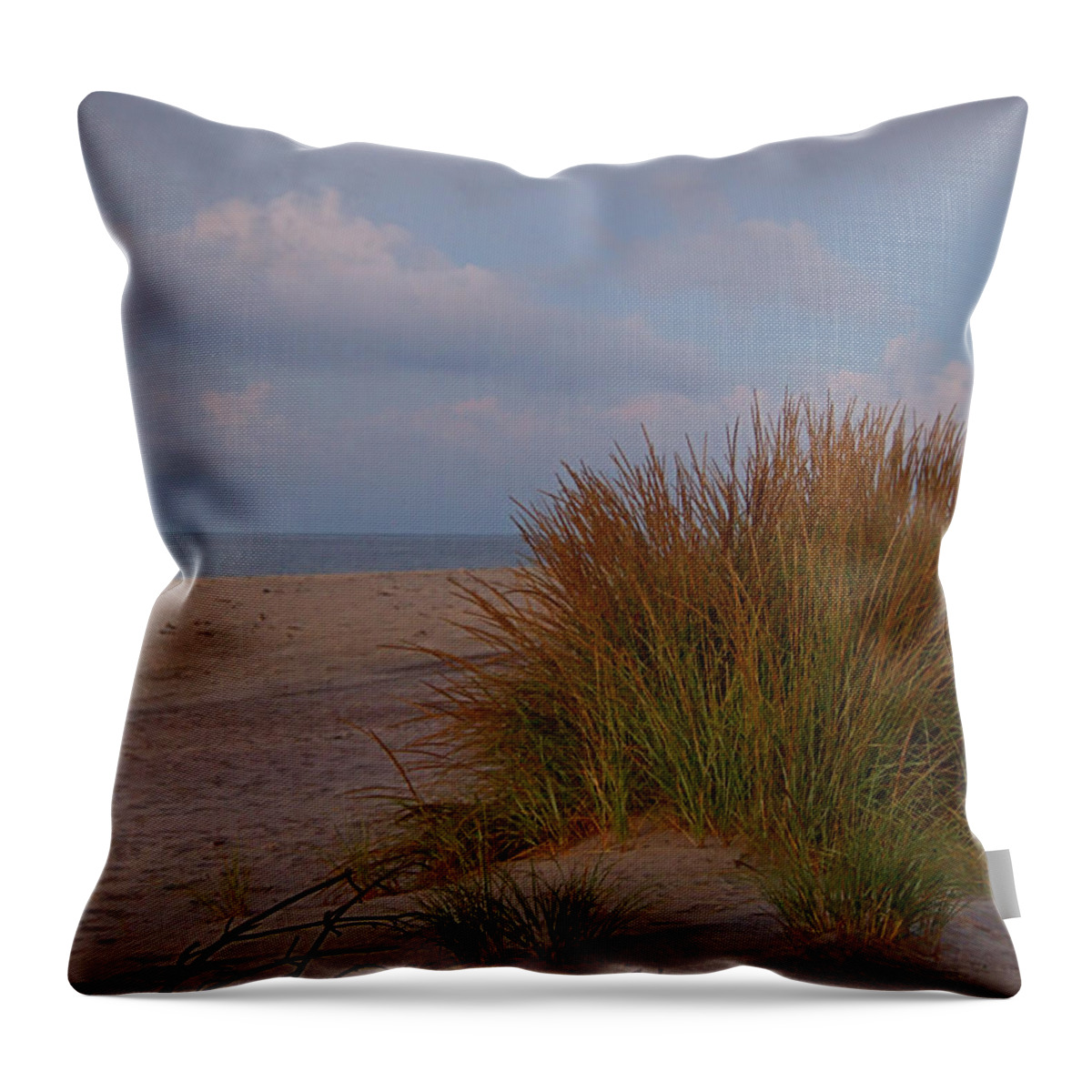 Beach Throw Pillow featuring the photograph Beach Grass I I I by Newwwman