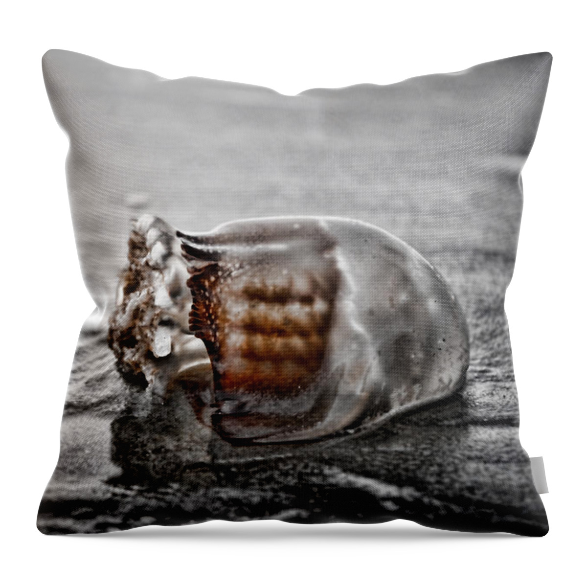 Popek Throw Pillow featuring the photograph Beach Jelly by Sharon Popek