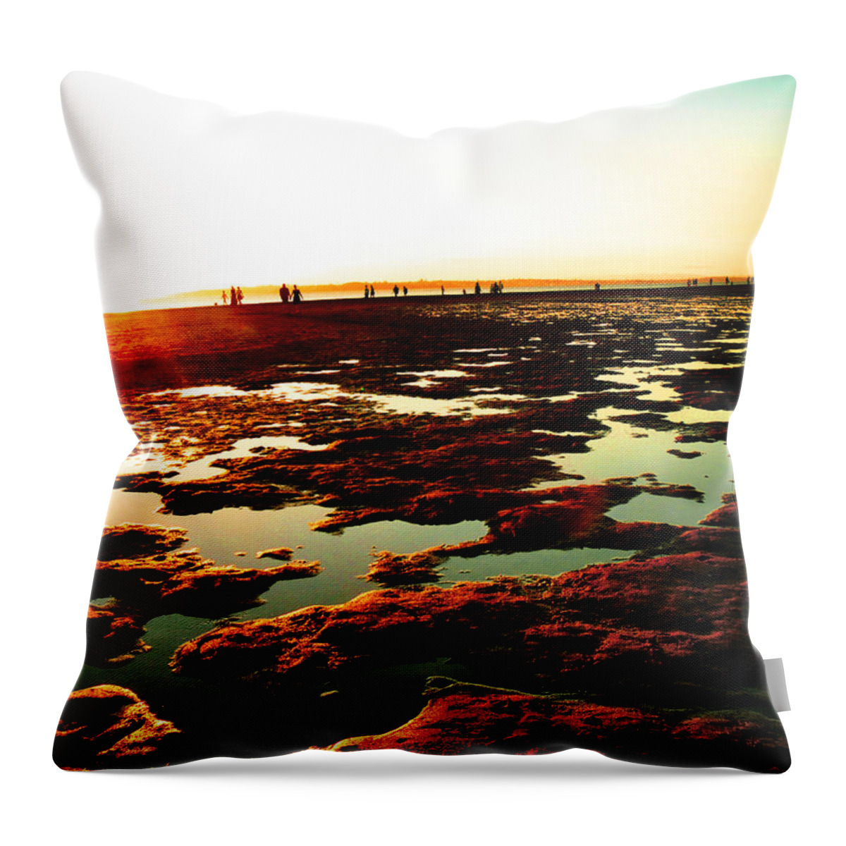 Beach Throw Pillow featuring the photograph Beach Puddles by Michael Blaine