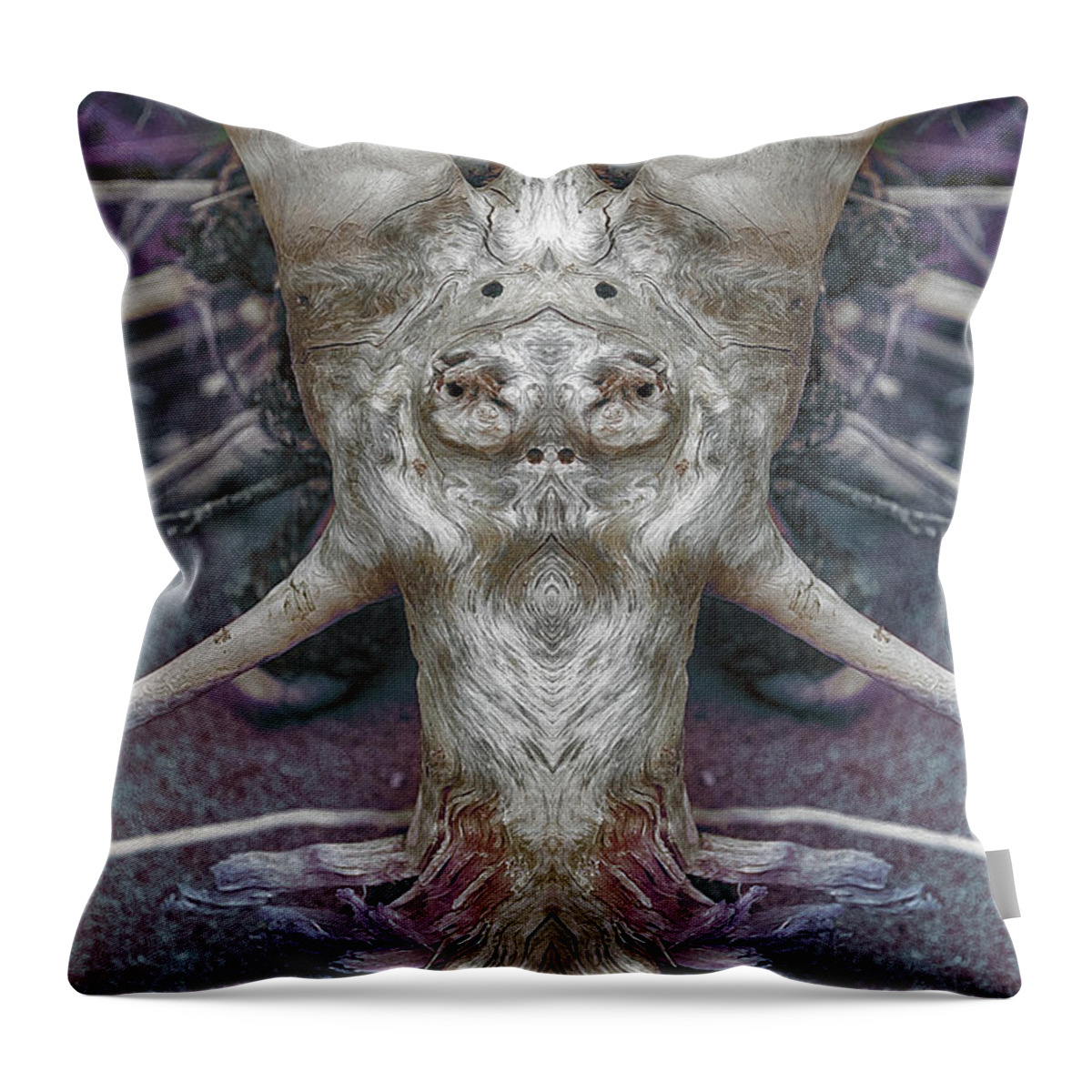 Driftwood Throw Pillow featuring the photograph Beach Wizard by WB Johnston