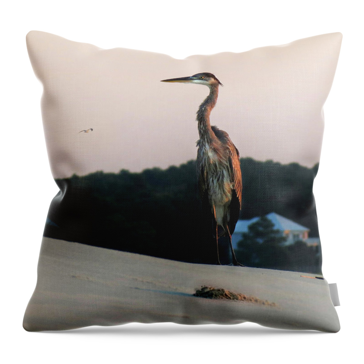 Bird Throw Pillow featuring the photograph Beachcomber by Deborah Smith