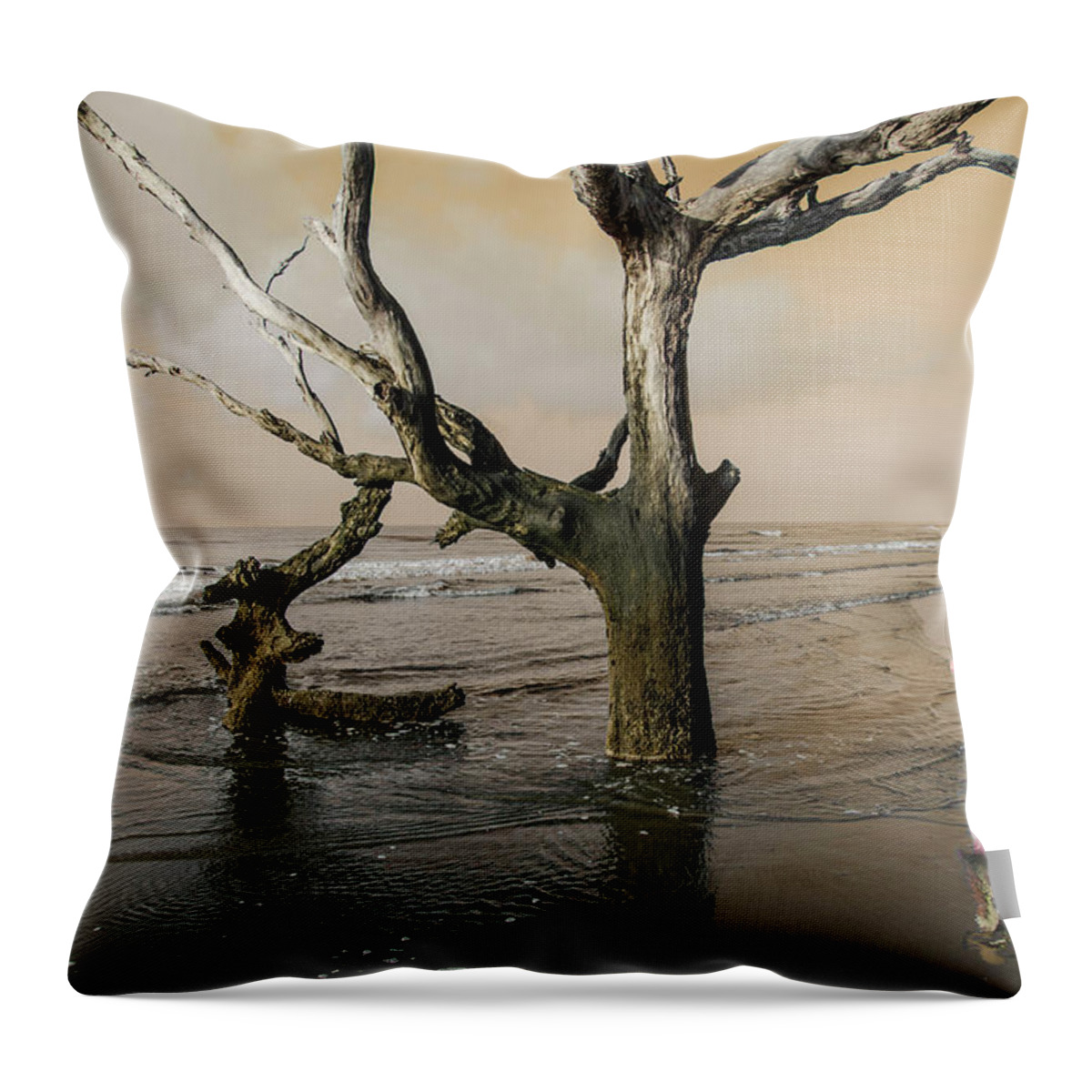 Ocean Throw Pillow featuring the photograph Beachcombing by Jim Cook