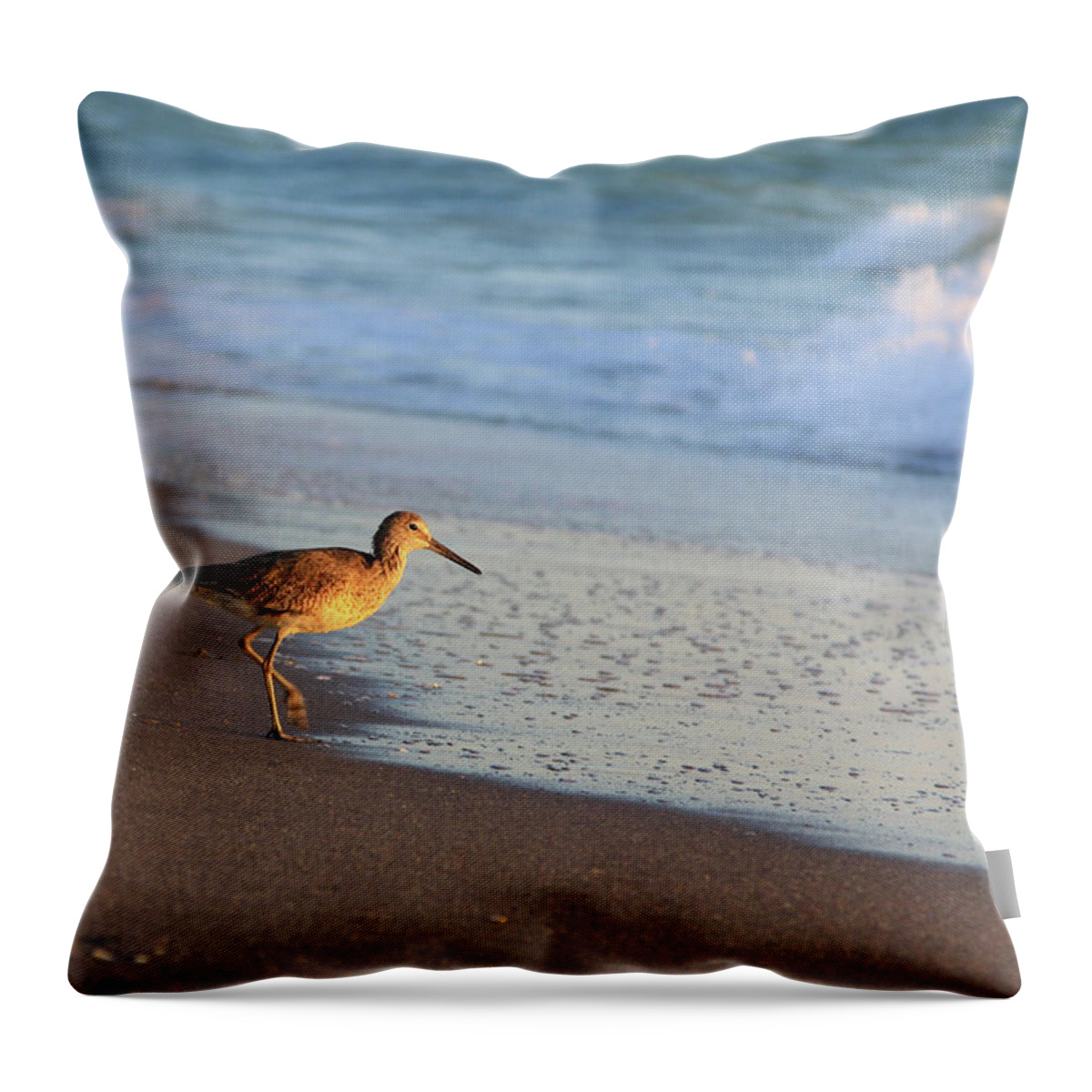 Bird Feathers Sandpiper Coast Beach Water Florida Waves Flight Photograph Photography Digital Fine Art Throw Pillow featuring the photograph Beachcomer by Shari Jardina