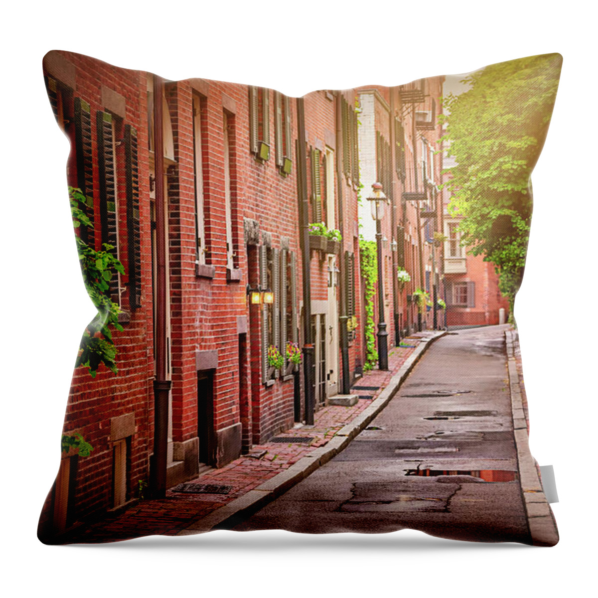Beacon Hill Throw Pillow featuring the photograph Beacon Hill Boston by Carol Japp