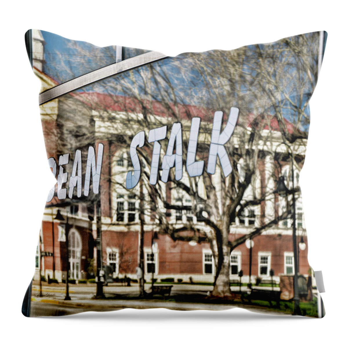 Sharon Popek Throw Pillow featuring the photograph Bean Stalk Reflection by Sharon Popek