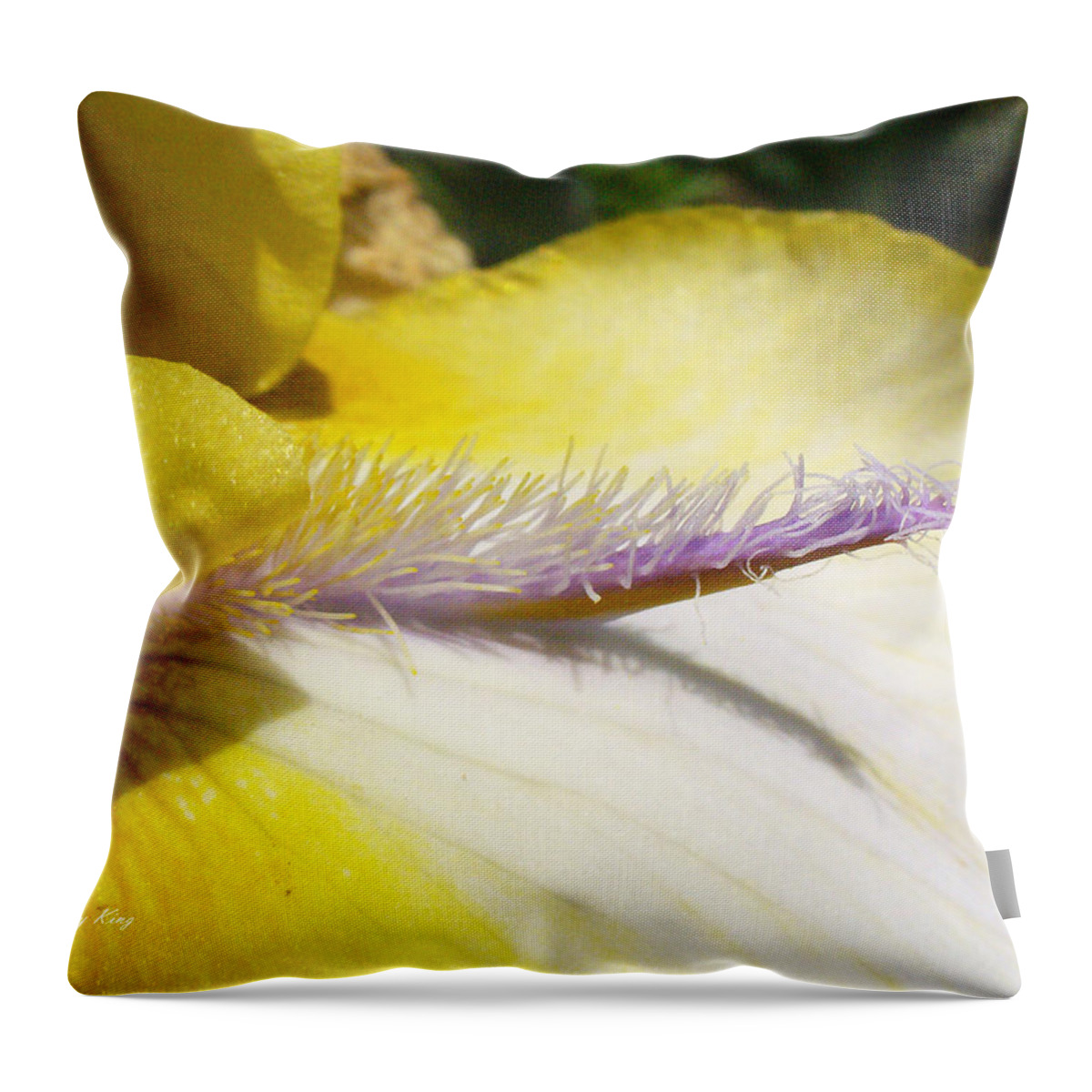 Bearded Iris Throw Pillow featuring the photograph Bearded Lady by Peggy King