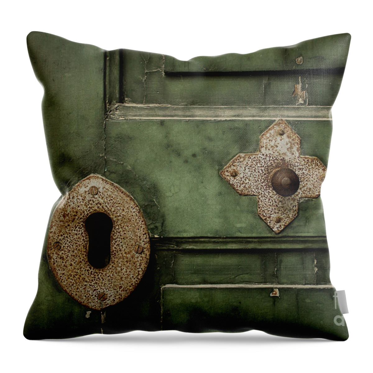 Door Throw Pillow featuring the photograph Beautiful Antiquity by Becqi Sherman