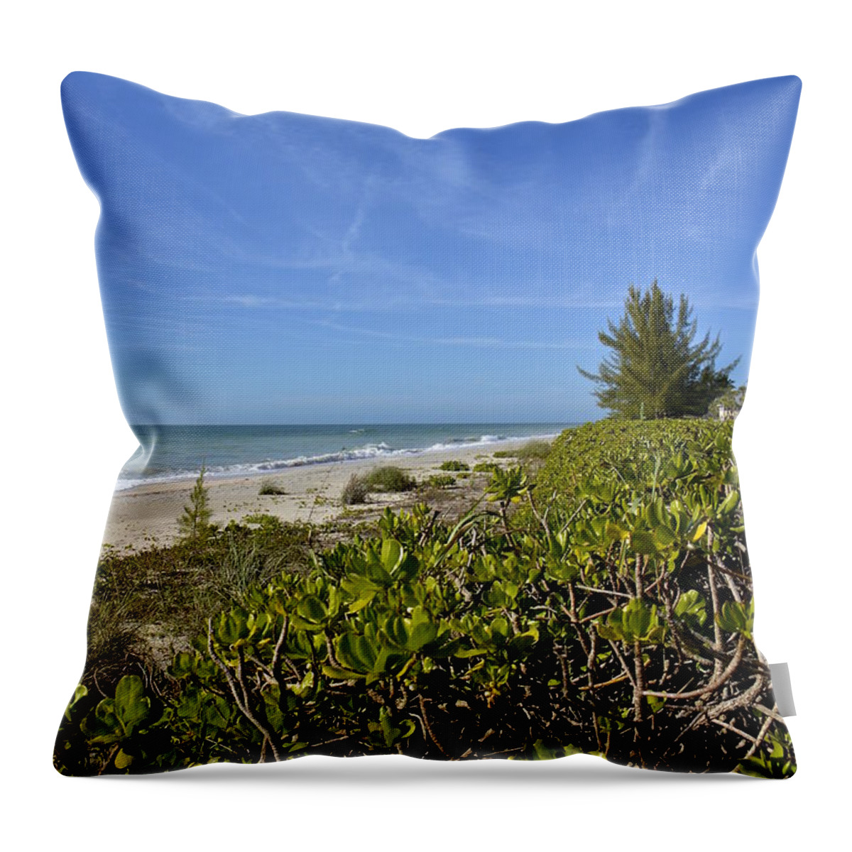 Beach Throw Pillow featuring the photograph Beautiful Beachy Afternoon by Carol Bradley