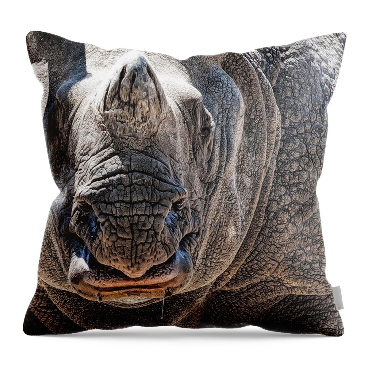 Rino Throw Pillow featuring the photograph Beautiful Beast by Pete Rems