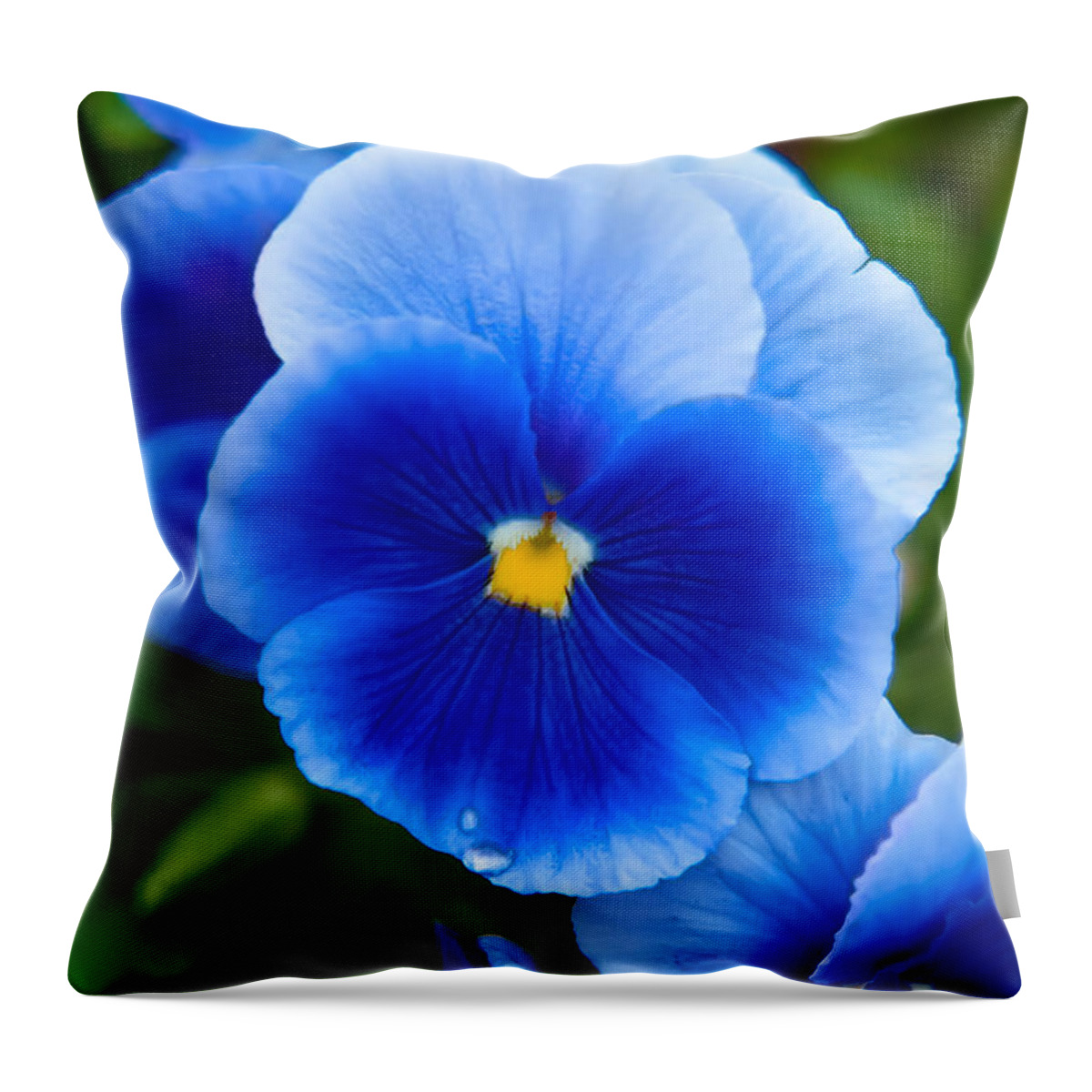 Spring Flowers Throw Pillow featuring the photograph Beautiful Blues by Az Jackson