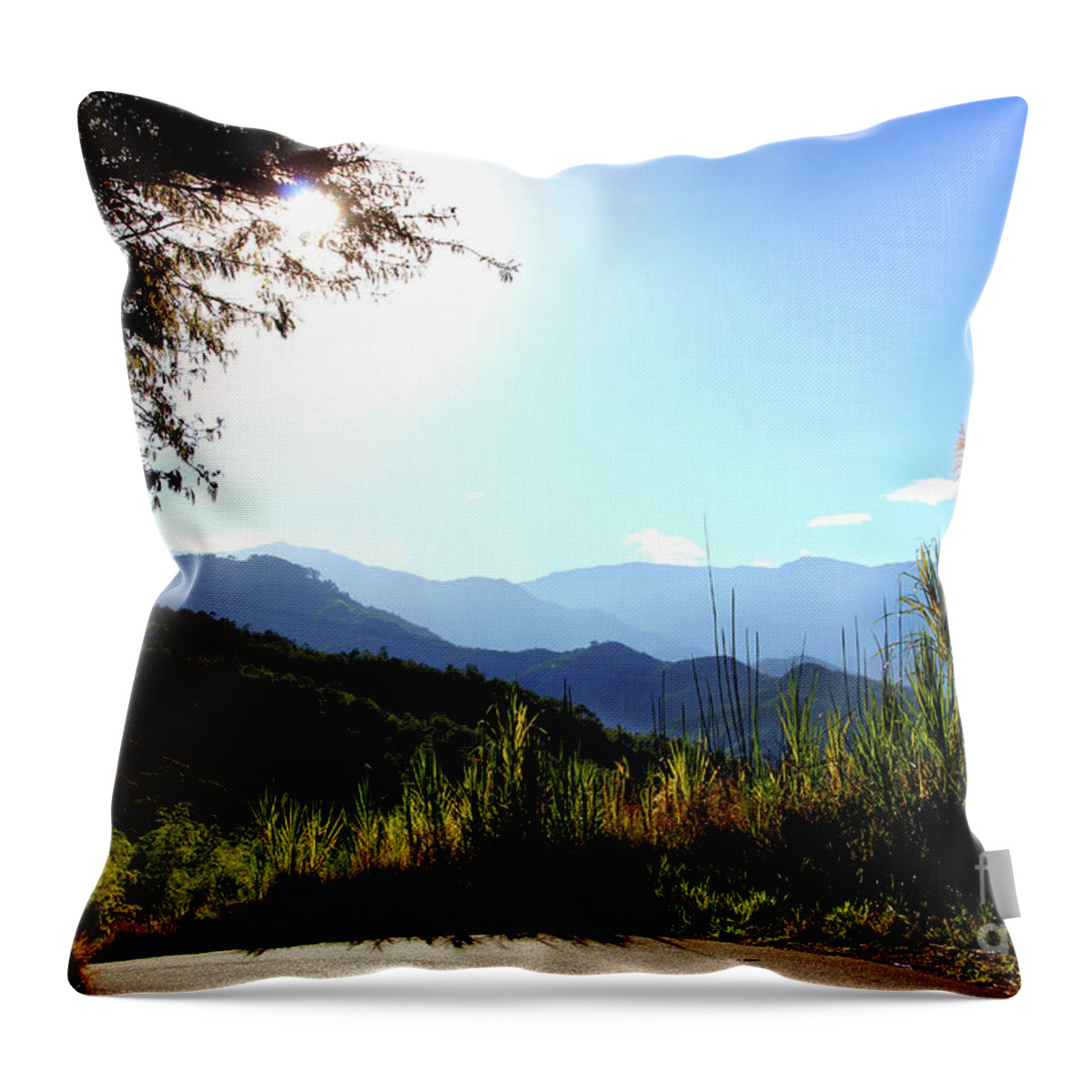 Road Throw Pillow featuring the photograph Beautiful Colombia Near Rio Frio by Al Bourassa