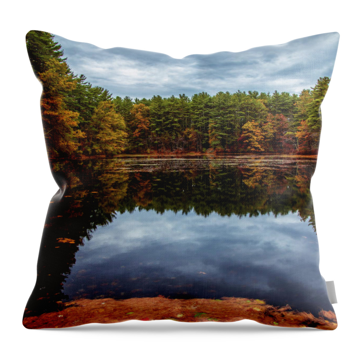 Autumn Throw Pillow featuring the photograph Beautiful day last fall by Lilia S