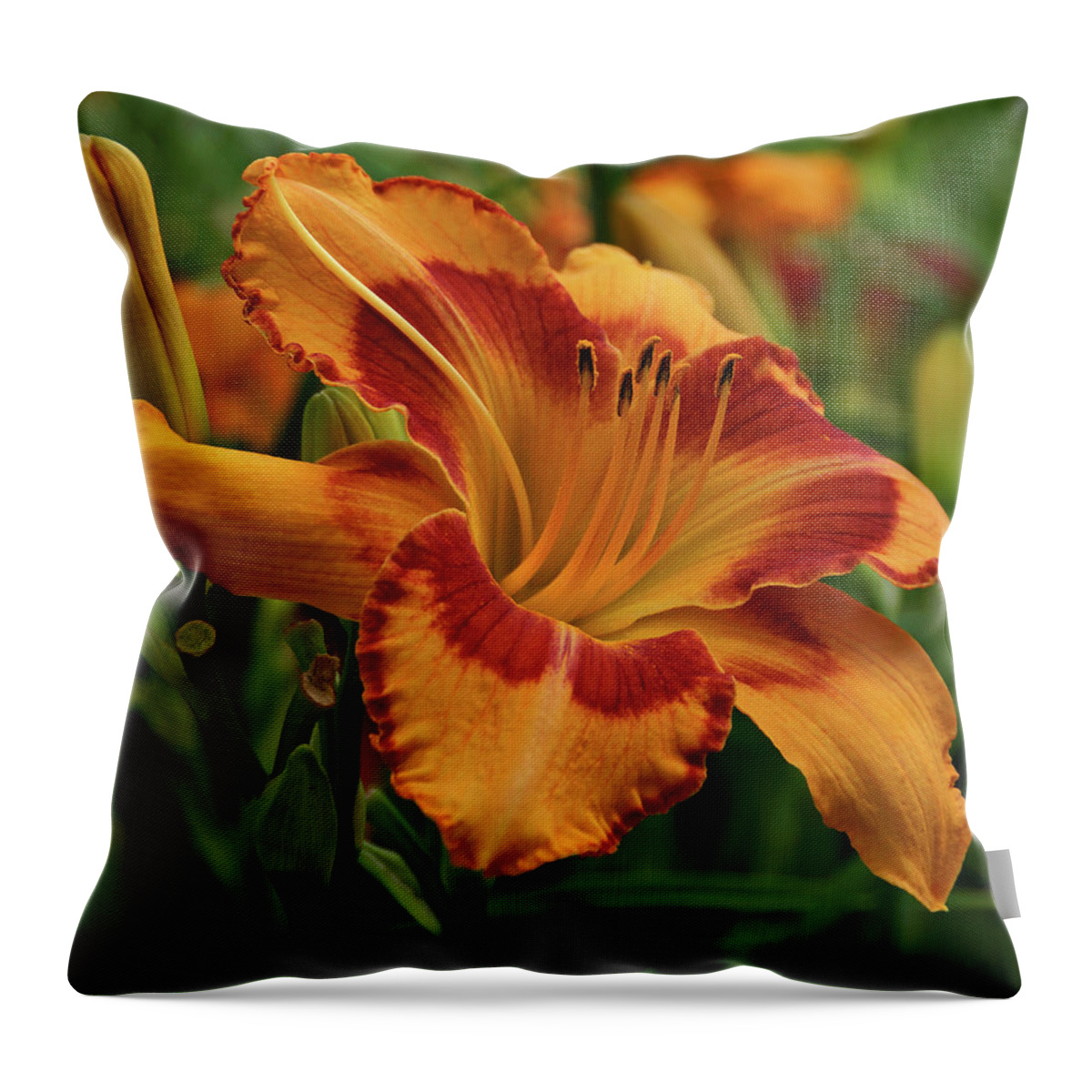 Daylilies Throw Pillow featuring the photograph Beautiful Daylily by Sandy Keeton
