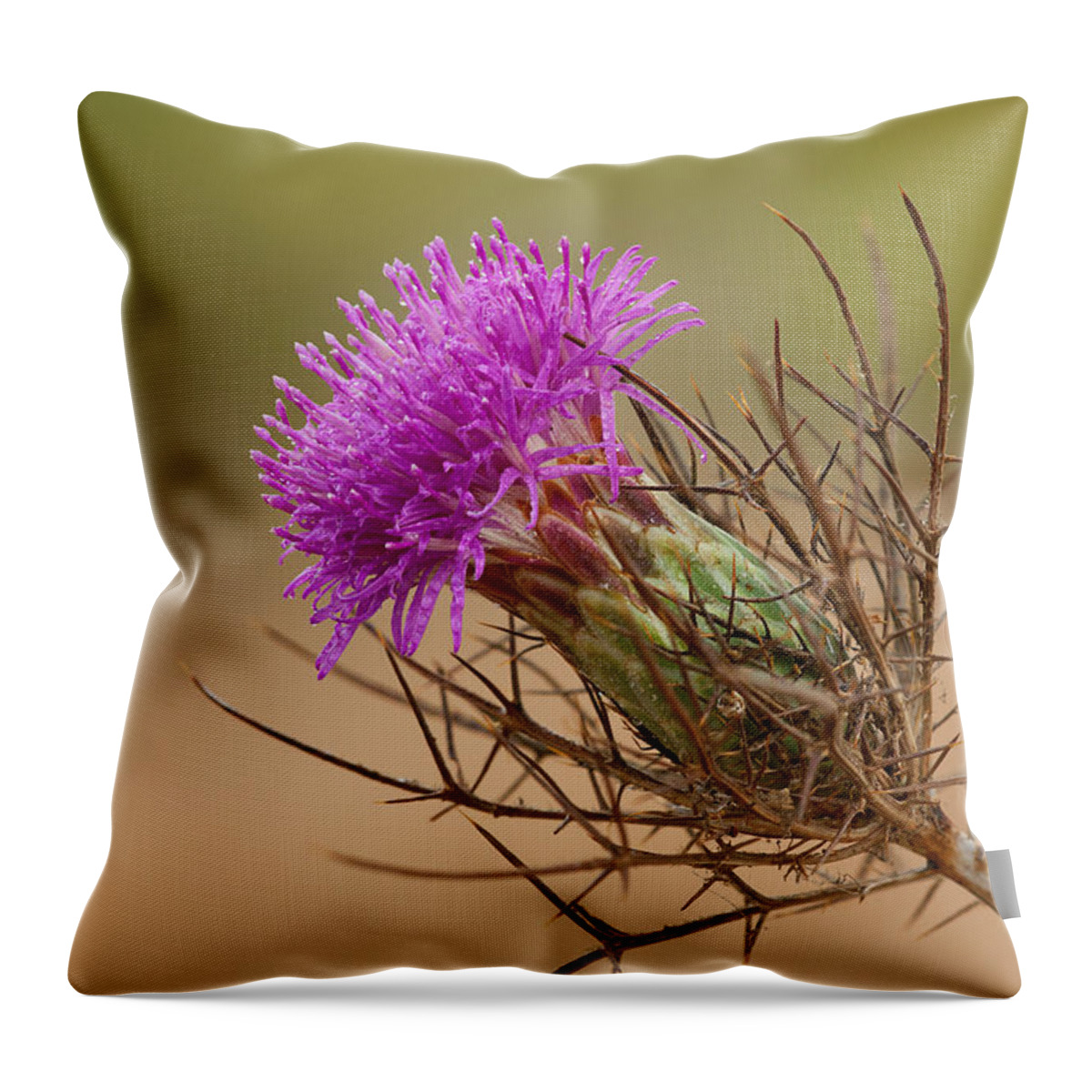 Flower Throw Pillow featuring the photograph Beautiful Distaff-thistle by Yuri Peress