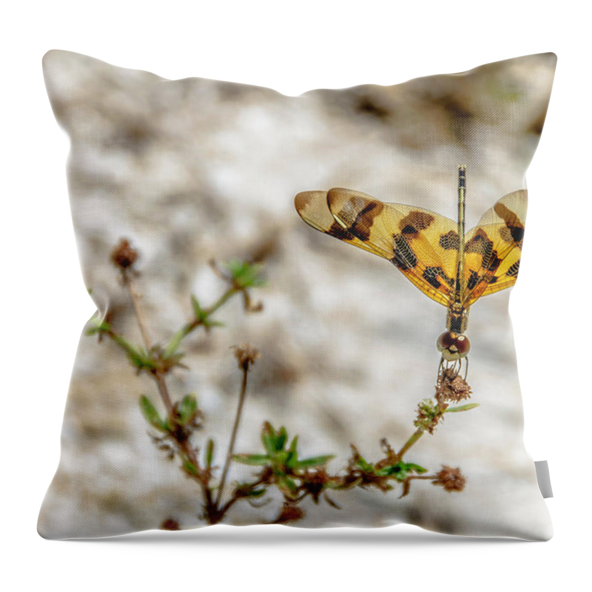 Dragonfly Throw Pillow featuring the photograph Beautiful Dragonfly by Wolfgang Stocker