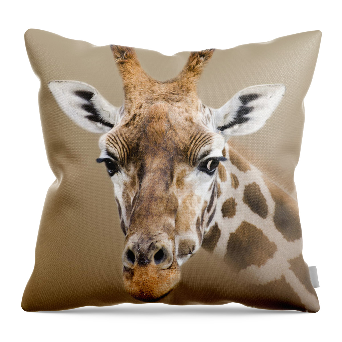 Wildlife Throw Pillow featuring the photograph Beautiful Giraffe by Linsey Williams