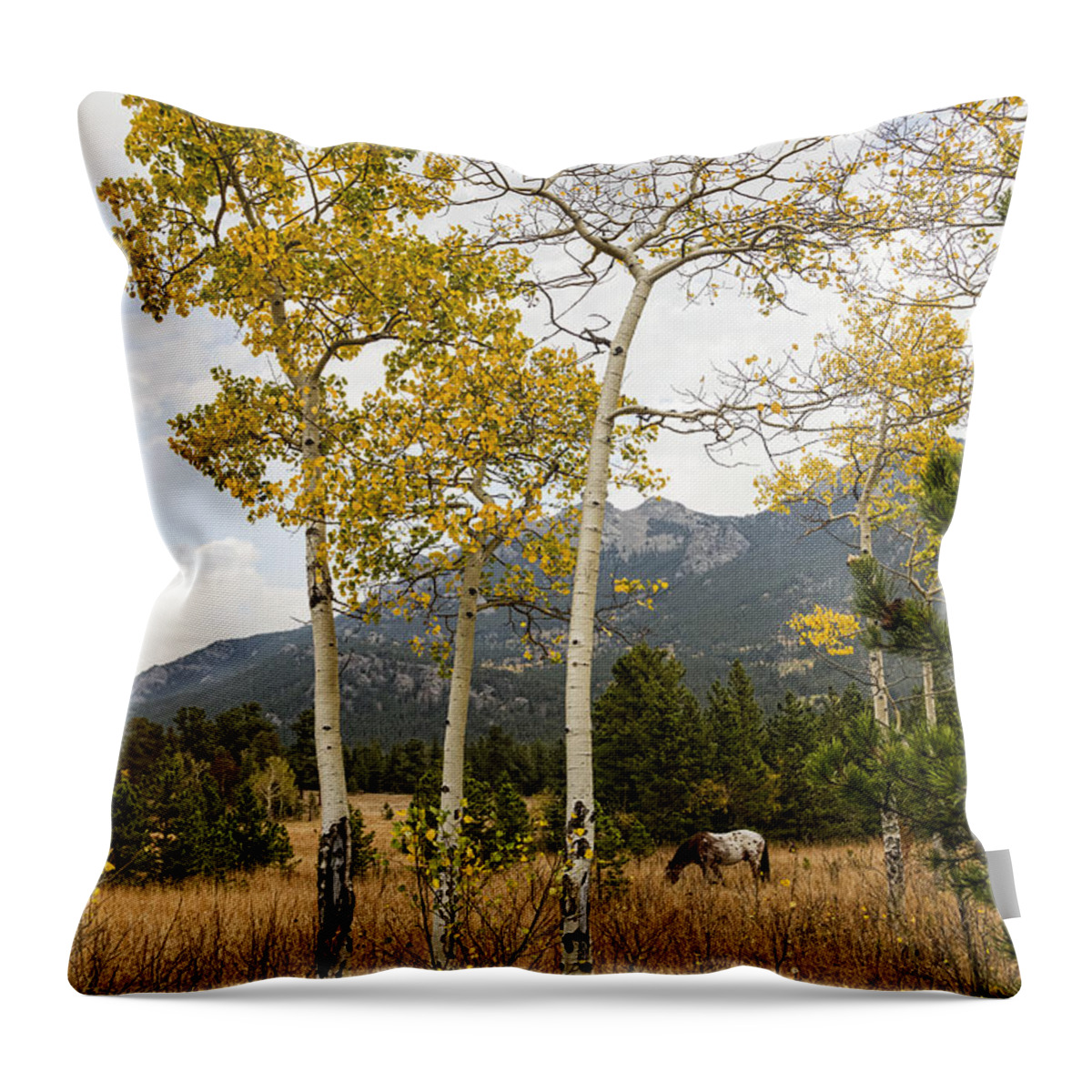 Horse Throw Pillow featuring the photograph Beautiful Horse Autumn Aspen Trees Grove Grazing by James BO Insogna