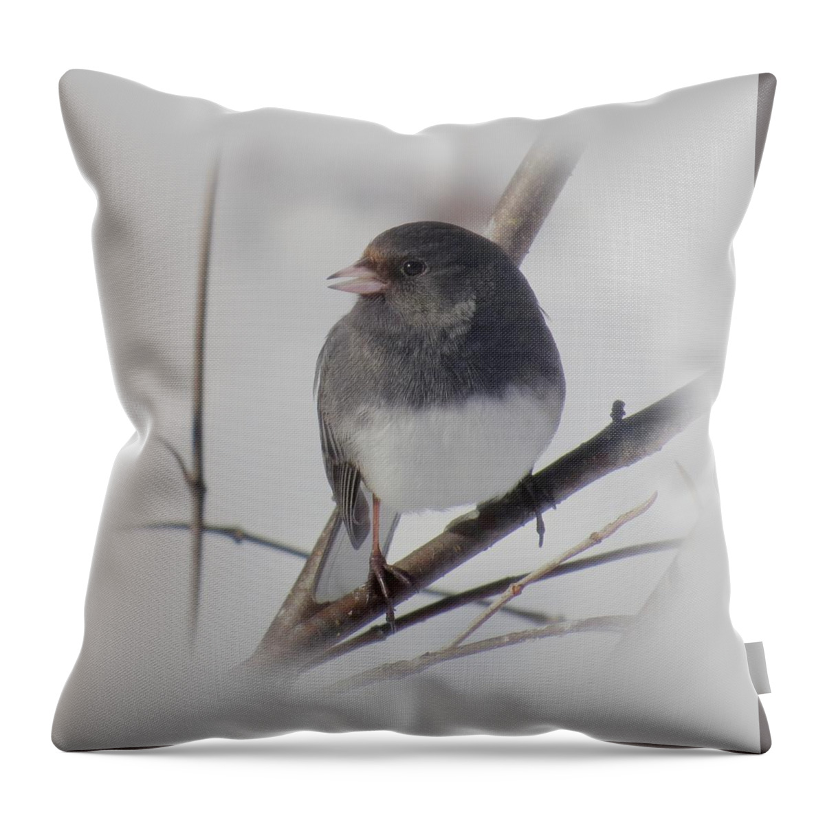 Bird Throw Pillow featuring the photograph Beautiful Junco - Bird by MTBobbins Photography