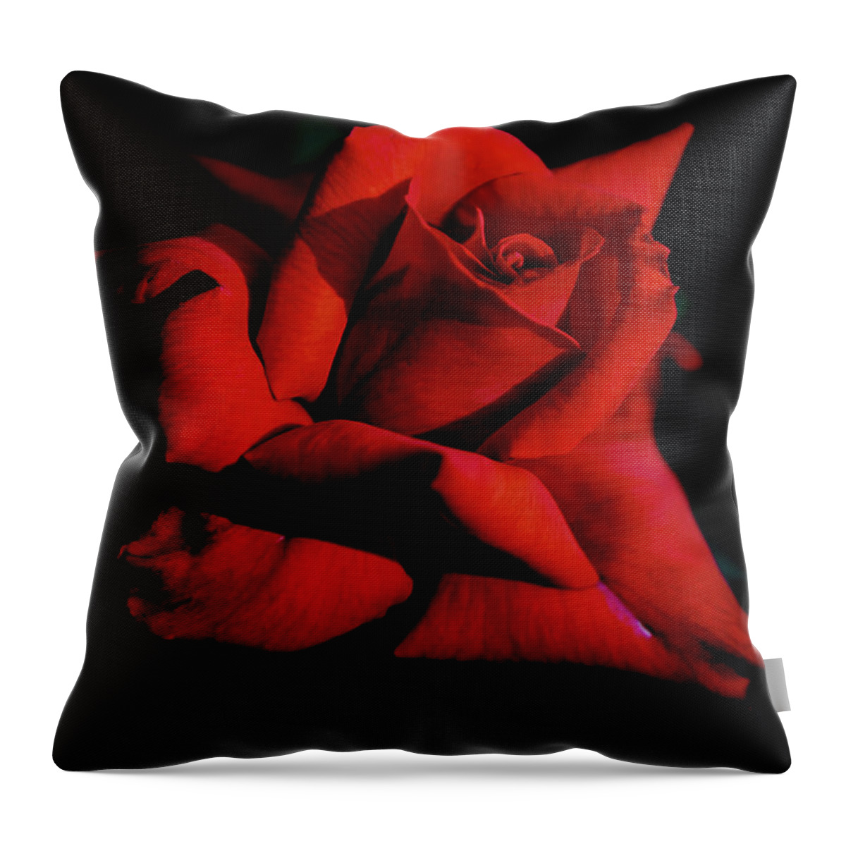 Rose Throw Pillow featuring the digital art Beautiful Long Stemmer by Ed Stines