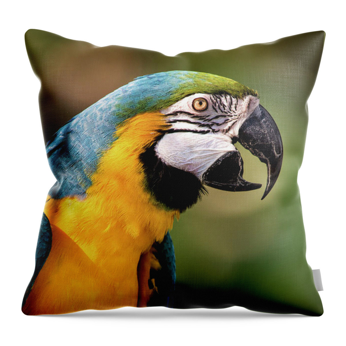 Bird Throw Pillow featuring the photograph Beautiful Macaw by Don Johnson
