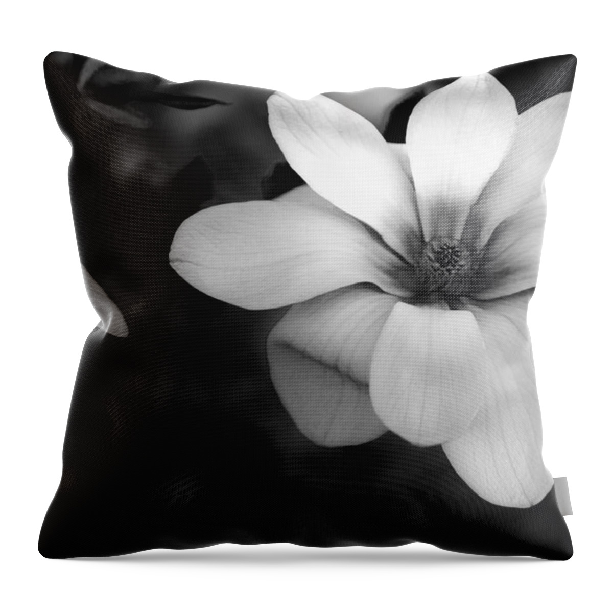 Illinois Throw Pillow featuring the photograph Beautiful Magnolia by Joni Eskridge