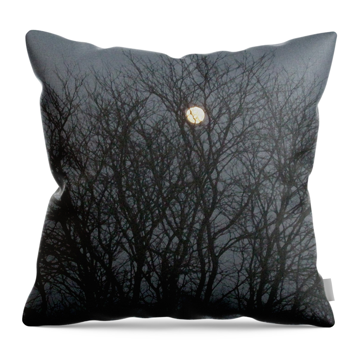 Full Moon Throw Pillow featuring the photograph Beautiful Moon by Sonali Gangane
