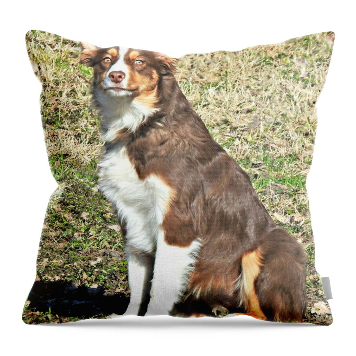 Beautiful Neighbor Dog Throw Pillow featuring the photograph Beautiful Neighbor Dog by Kathy M Krause