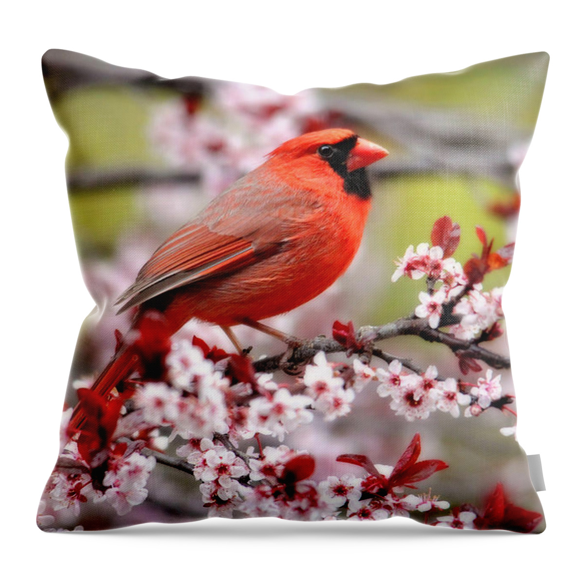 Birds Throw Pillow featuring the photograph Beautiful Northern Cardinal by Trina Ansel