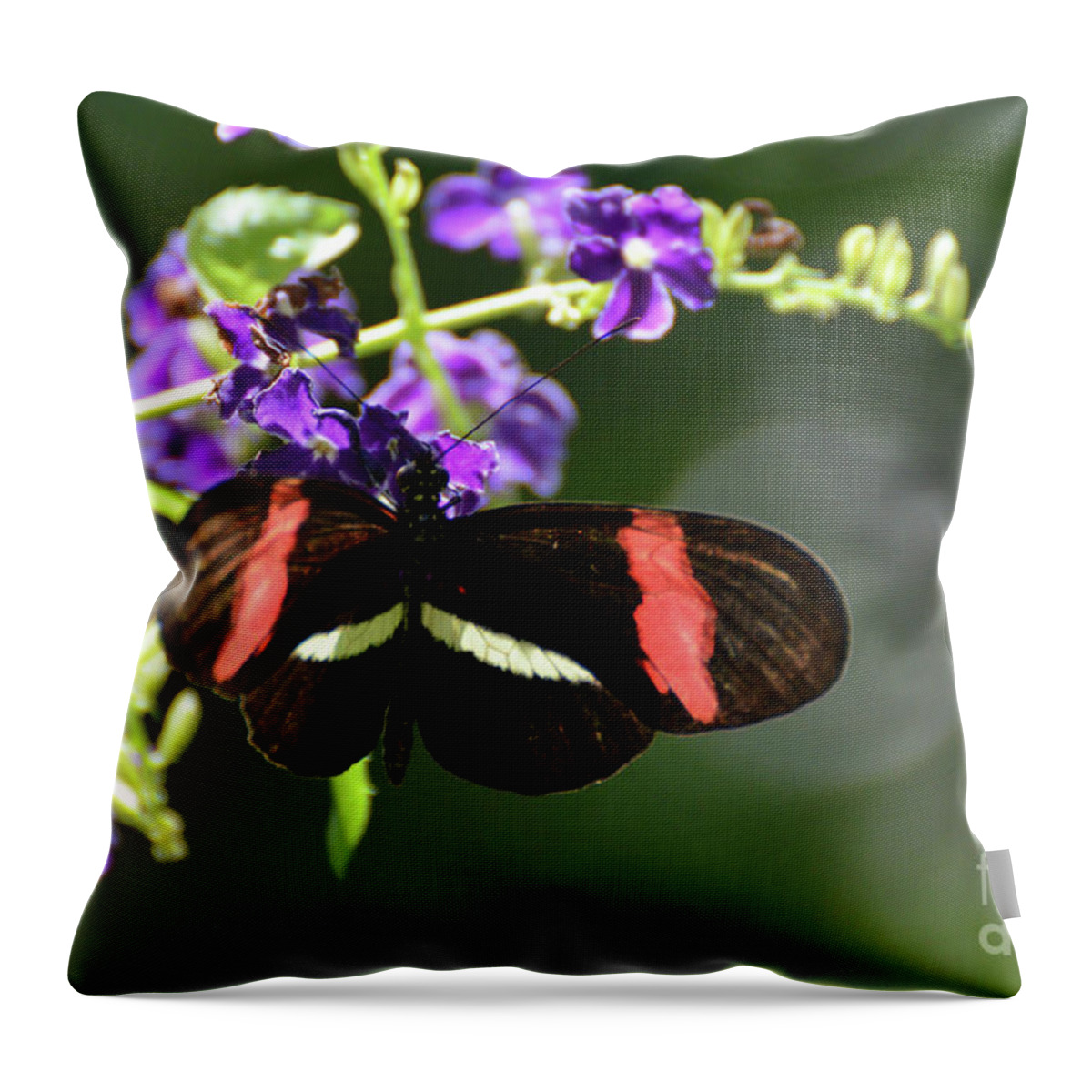 Postman-butterfly Throw Pillow featuring the photograph Beautiful Postman Butterfly Polinating Tiny Purple Flowers by DejaVu Designs