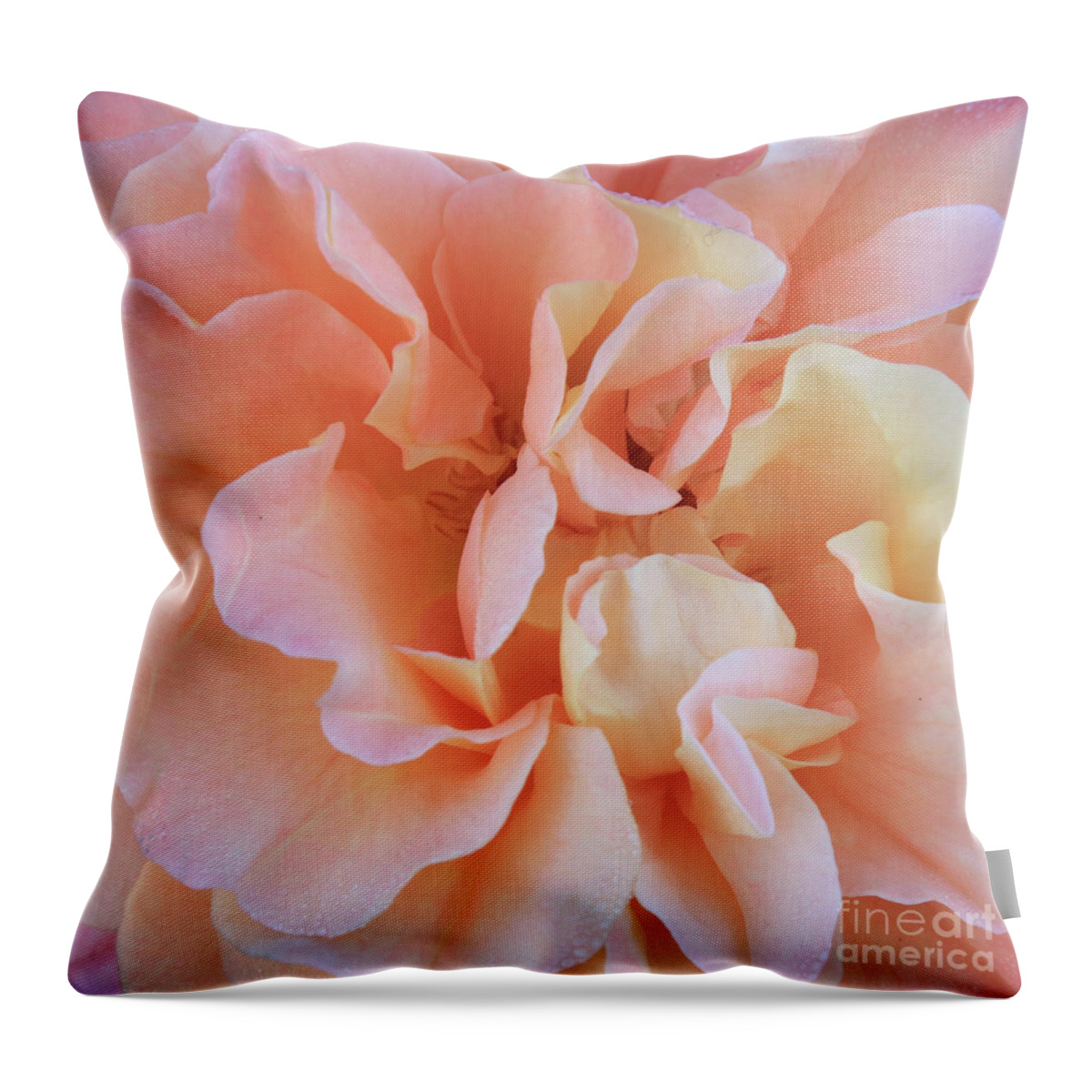 Rose Throw Pillow featuring the photograph Beautiful Rose Petals Macro by Carol Groenen